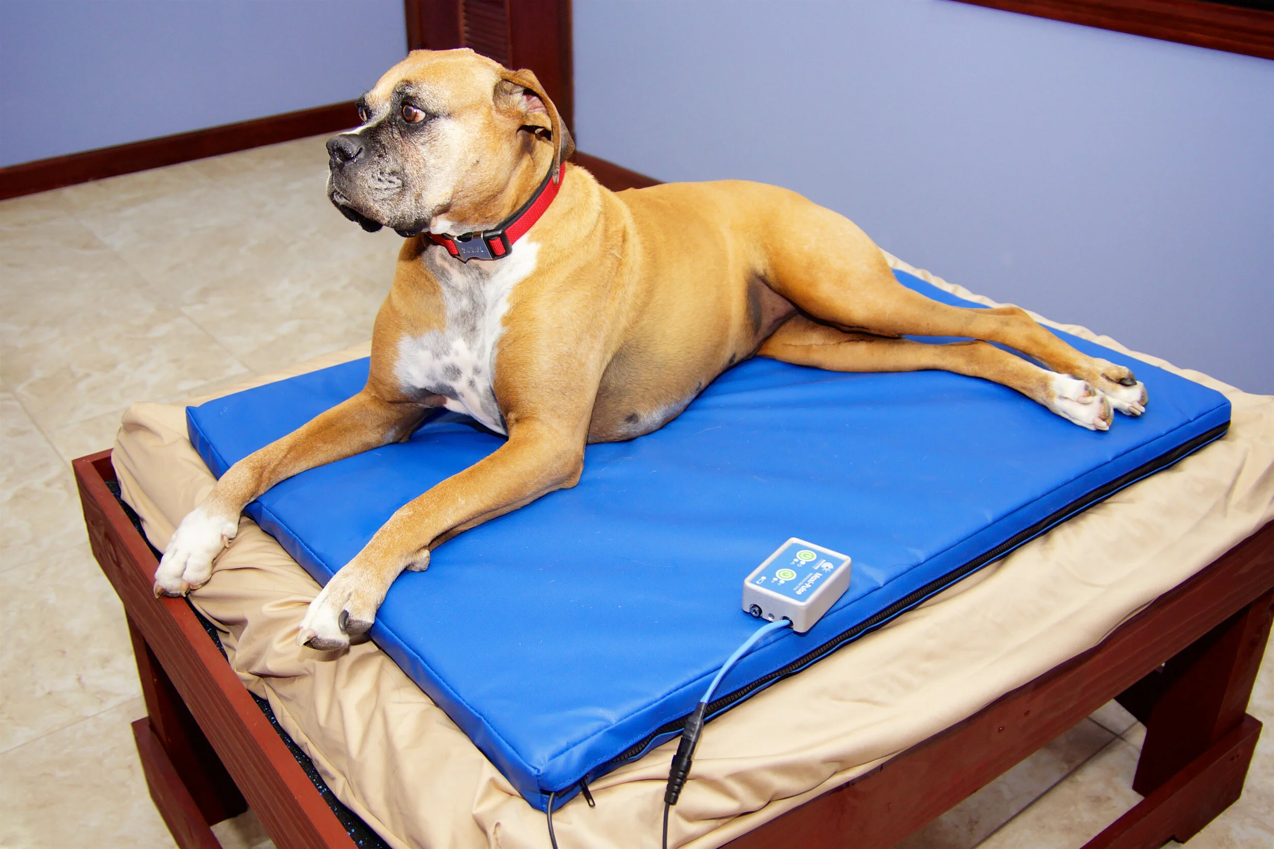 PEMF Therapy Beds