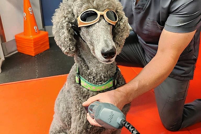 Structured Rehabilitation Programs