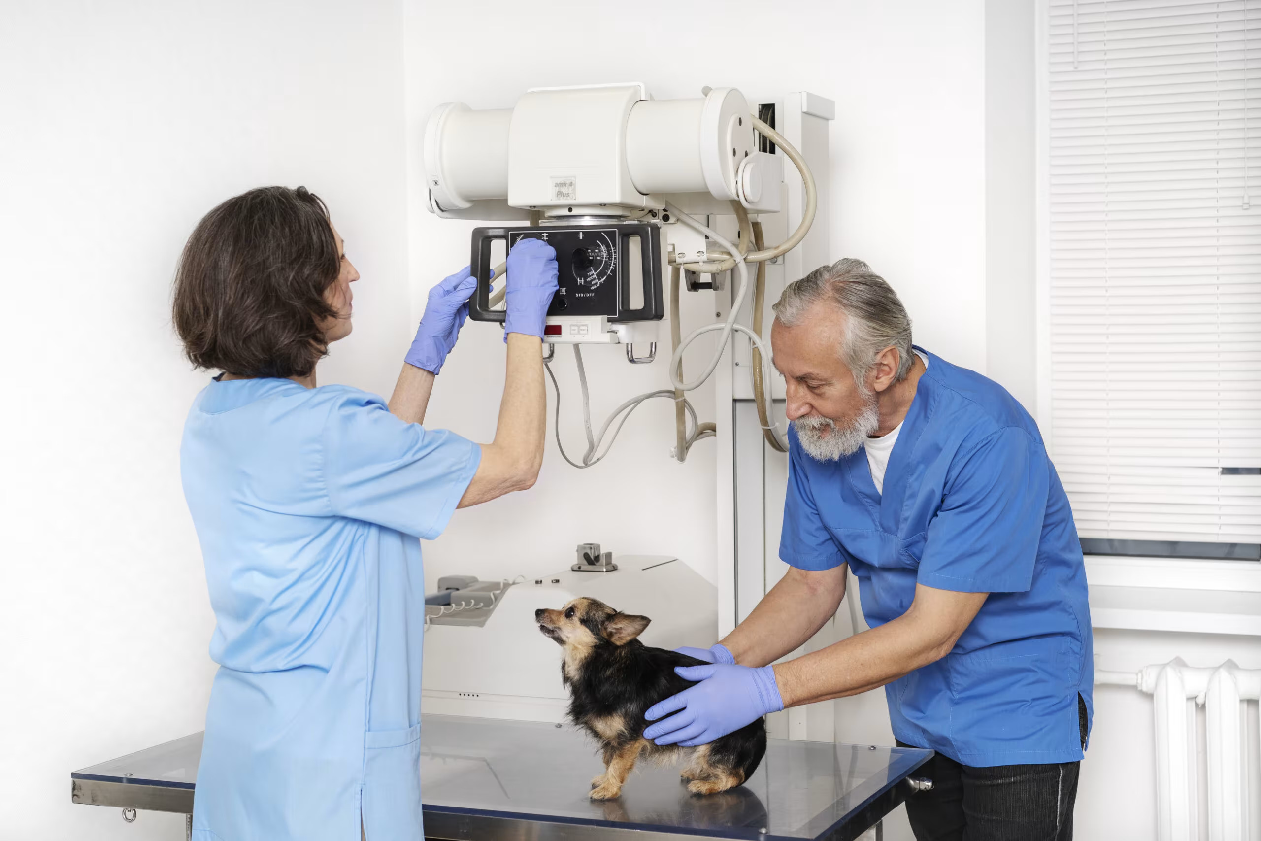 CT Scan & Endoscopy - petcare partners