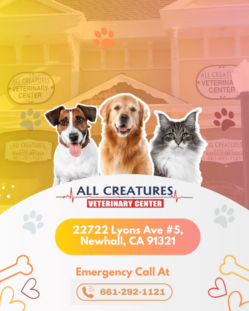 AV Emergency & Trauma Care - petcare partners